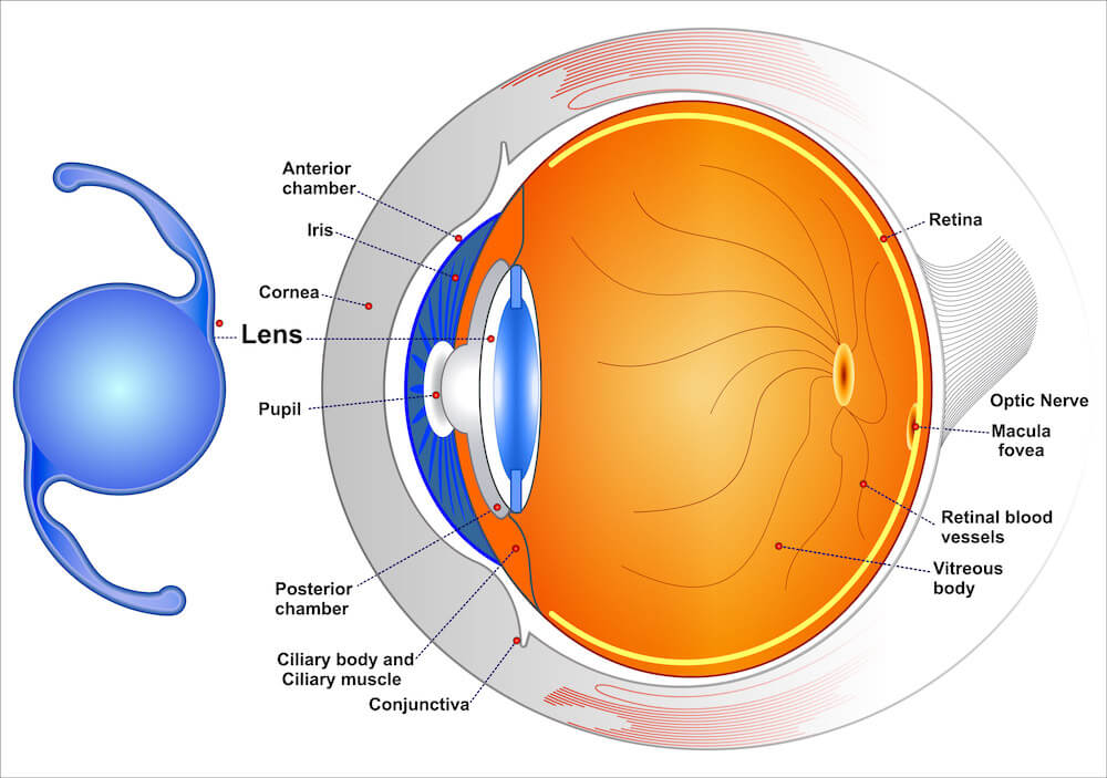 lenses image